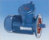 YBS系列小功率隔爆型三相異步電動機