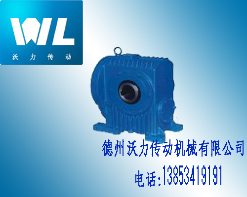 RD型二次包絡(luò)蝸輪減速器