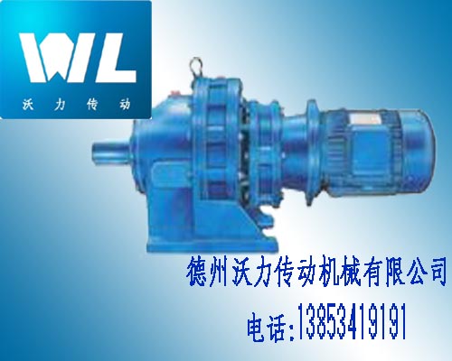 B系列(化工部標(biāo)準(zhǔn))行星擺線針輪減速機(jī)