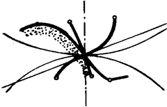 �X݆�����g�Zһ�㶨�x