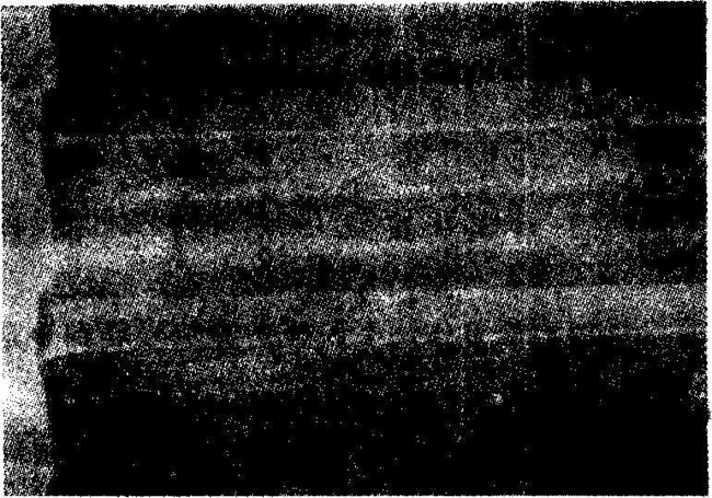 �����c�g