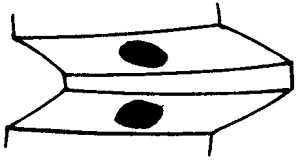 �F�X݆�͜��p�����X݆�g(sh��)�Z�ӹ�������݆�X���|���z���ԇ�