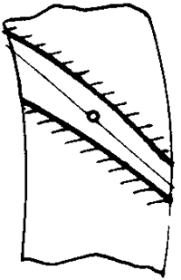 �F�X݆�͜�(zh��n)�p�����X݆�g(sh��)�Z�O(sh��)ӋӋ���c�{(di��o)��Ӌ��