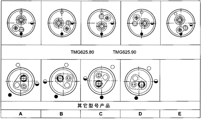 TMG懸掛式齒輪減速機(jī)