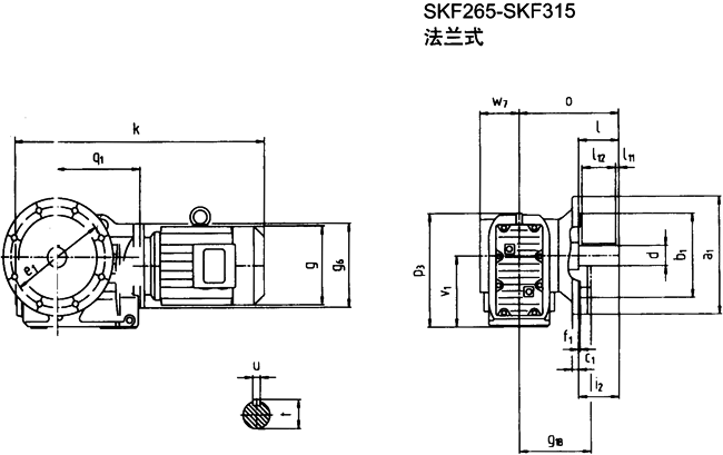 SK系列斜齒輪—蝸旋傘齒輪減速電機