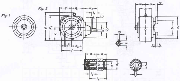 SW斜齒輪—蝸輪蝸桿減速電機