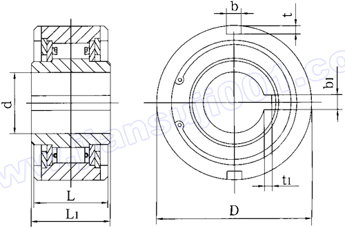 CKD型楔塊式超越離合器